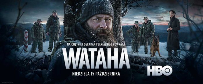 Wataha ponownie w Bieszczadach