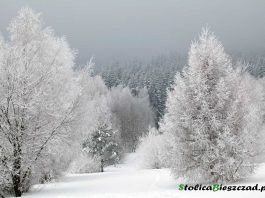 Uwaga - intensywne opady śniegu w Bieszczadach / fot. Z.Krasowski