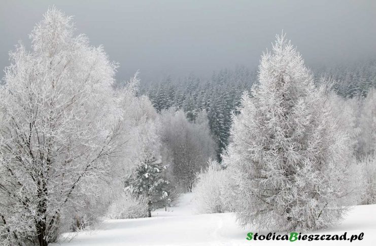 Uwaga - intensywne opady śniegu w Bieszczadach / fot. Z.Krasowski