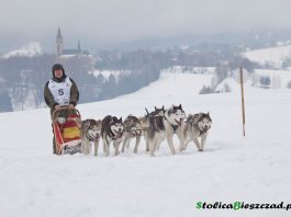 W Krainie Wilka - wyścigi psich zaprzęgów w Lutowiskach