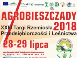 Agrobieszczady 2018 – Targi Rzemiosła, Przedsiębiorczości i Leśnictwa w Lesku