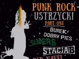 Punk Rock w Bieszczadzkiej w Ustrzykach Dolnych