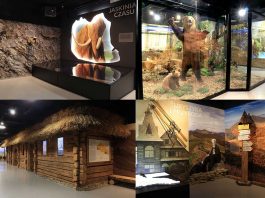 Muzeum Przyrodnicze Bieszczadzkiego Parku Narodowego zaprasza na majówkę